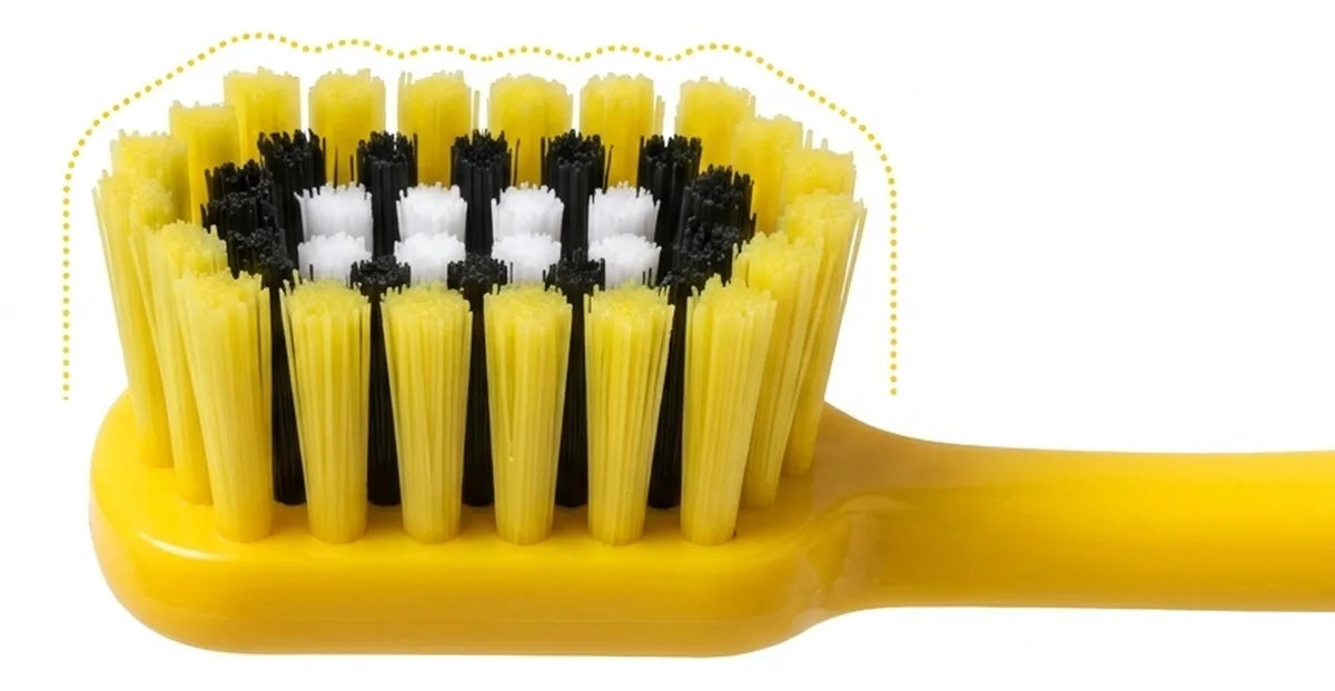 Close-up of the Stadium Brush showing its tiered yellow, black and white bristles.