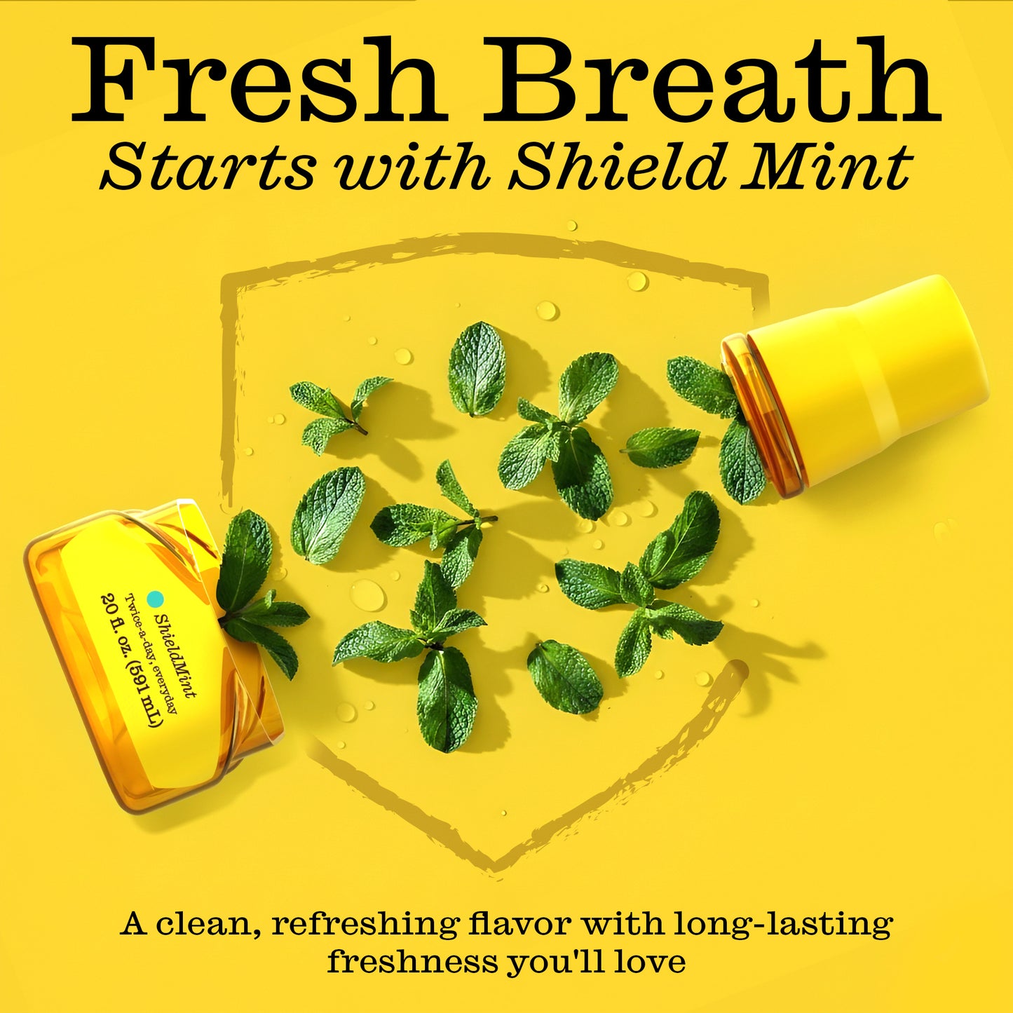 Gum Shield Mouthwash, 20 Fl oz